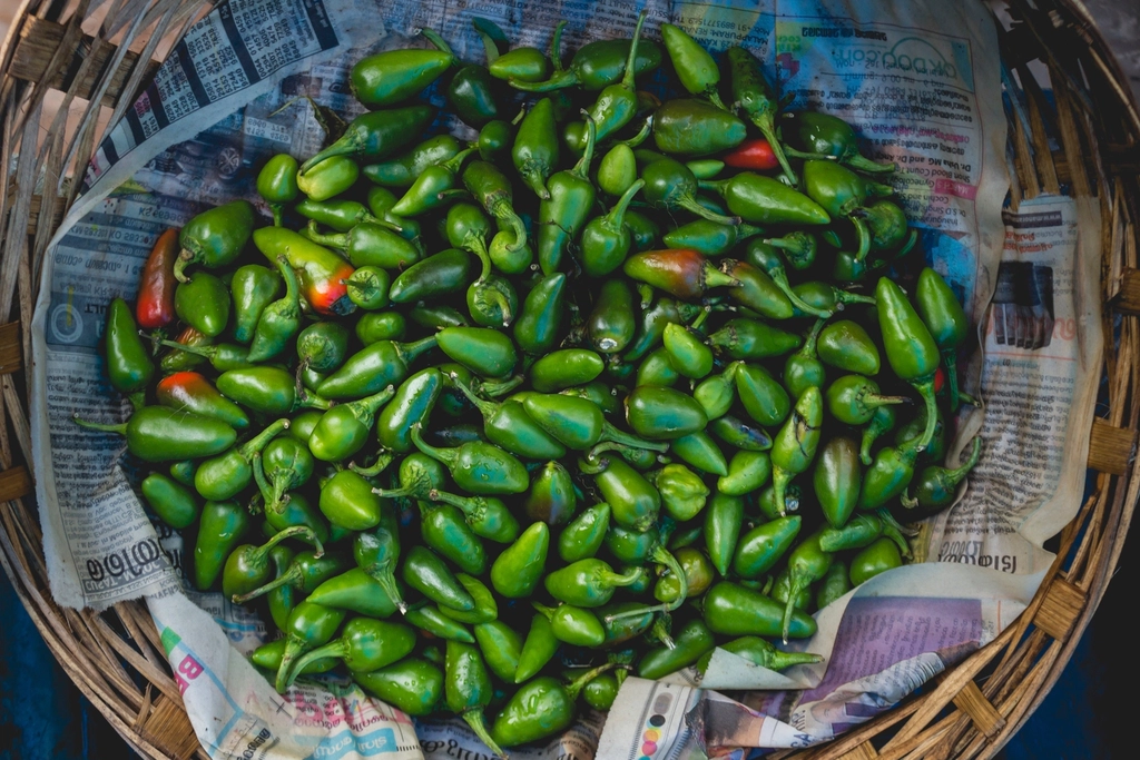 Green Chilli 250g