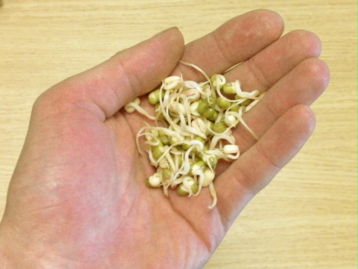 Moong Dal 1kg
